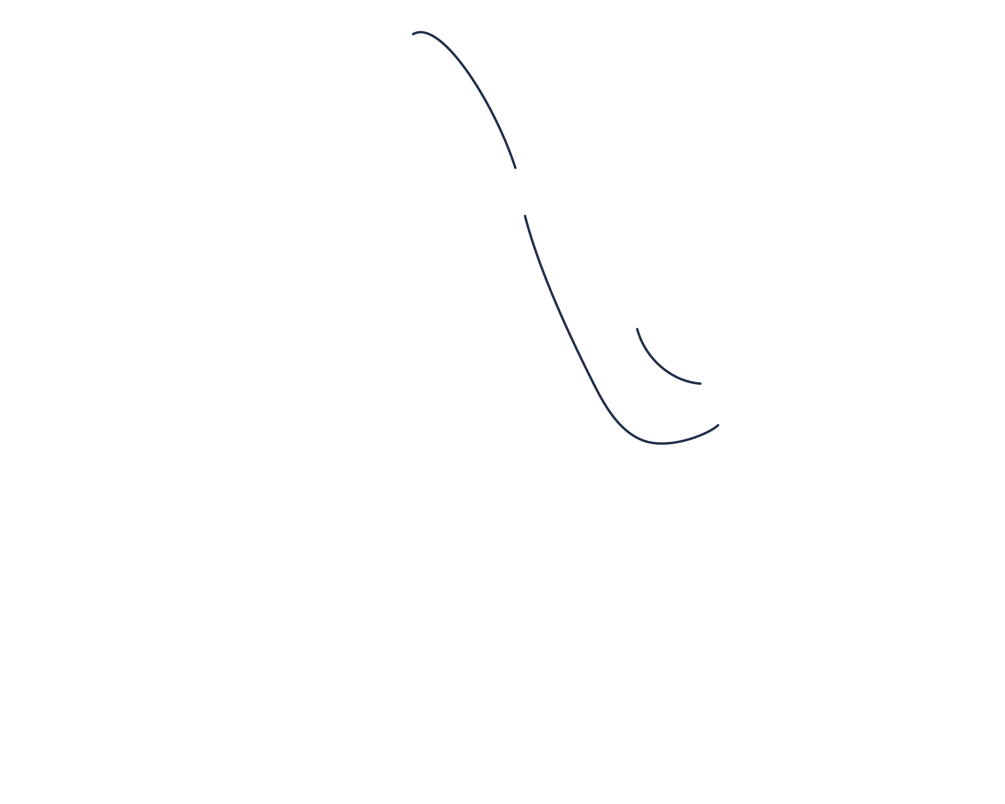 Zaasta Shoes